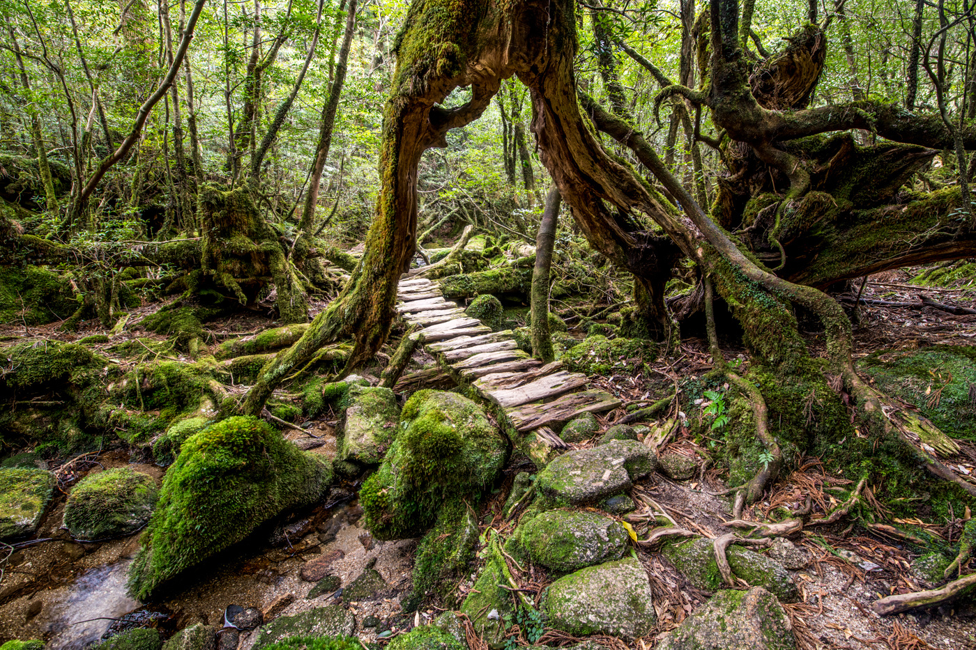 20190317-iStock-1145941878