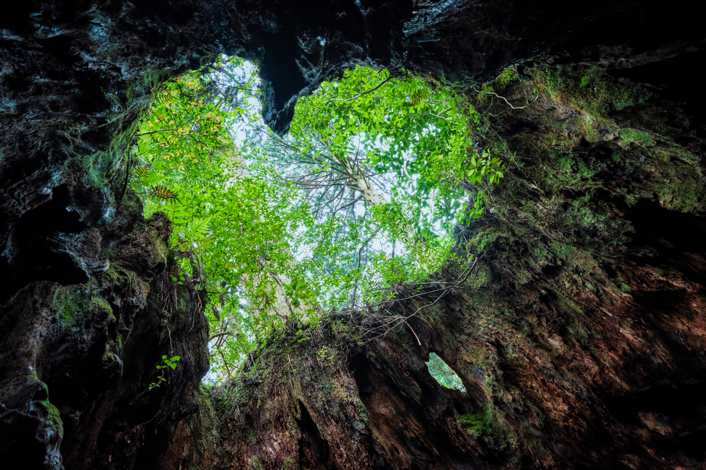 20190716-iStock-1162522676