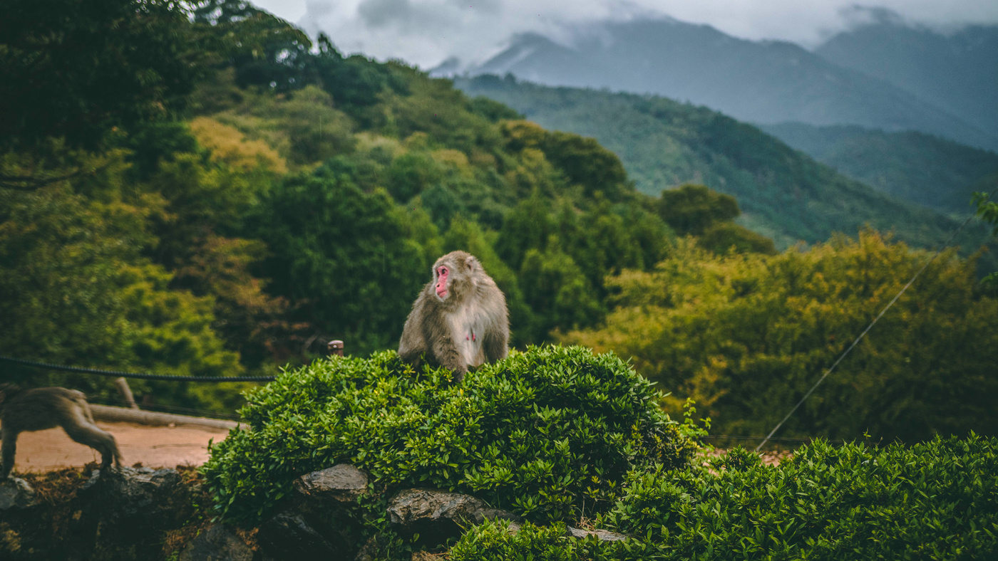 20191018-iStock-1345192399