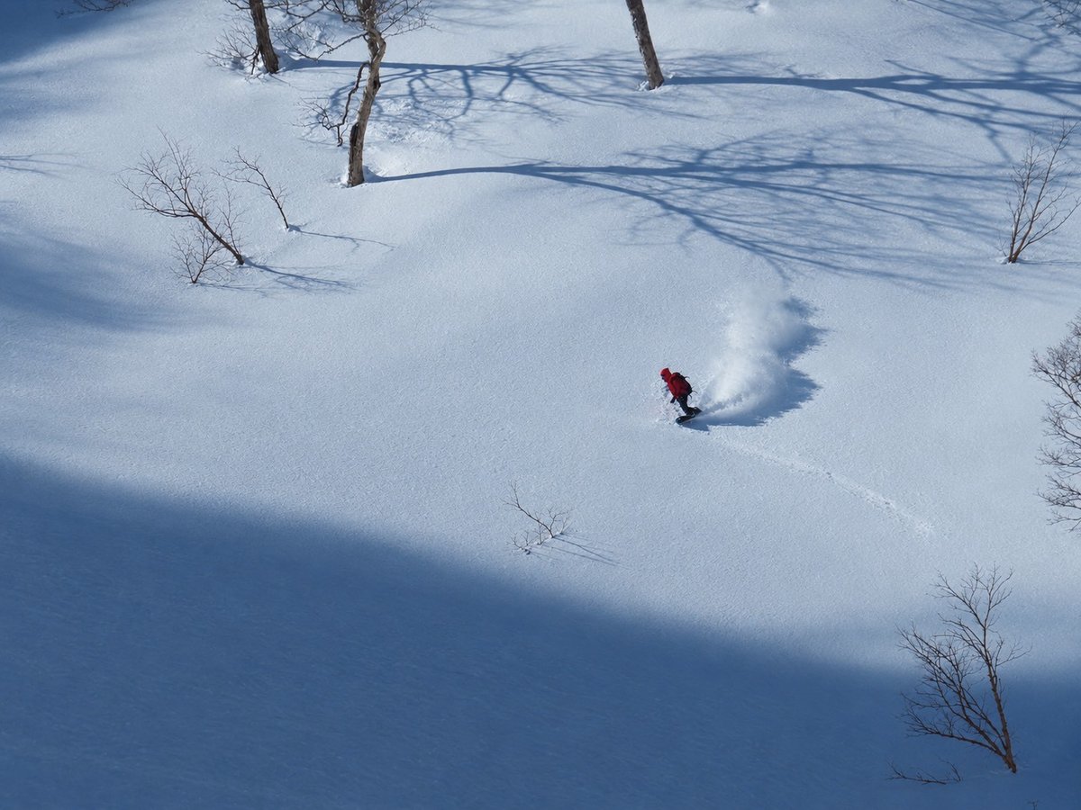 powder_snowboarding_in_trees