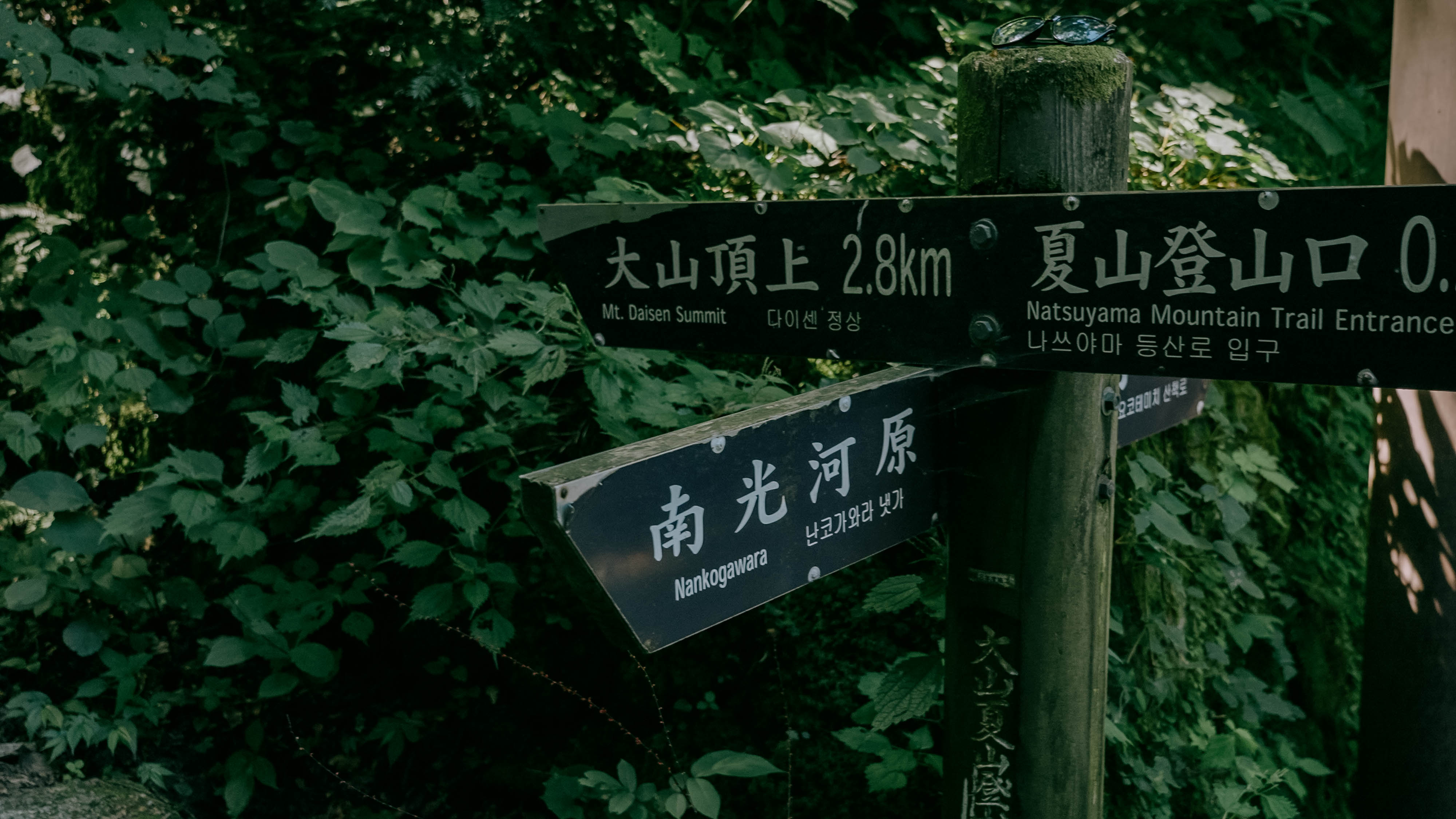 大山 案内板-1