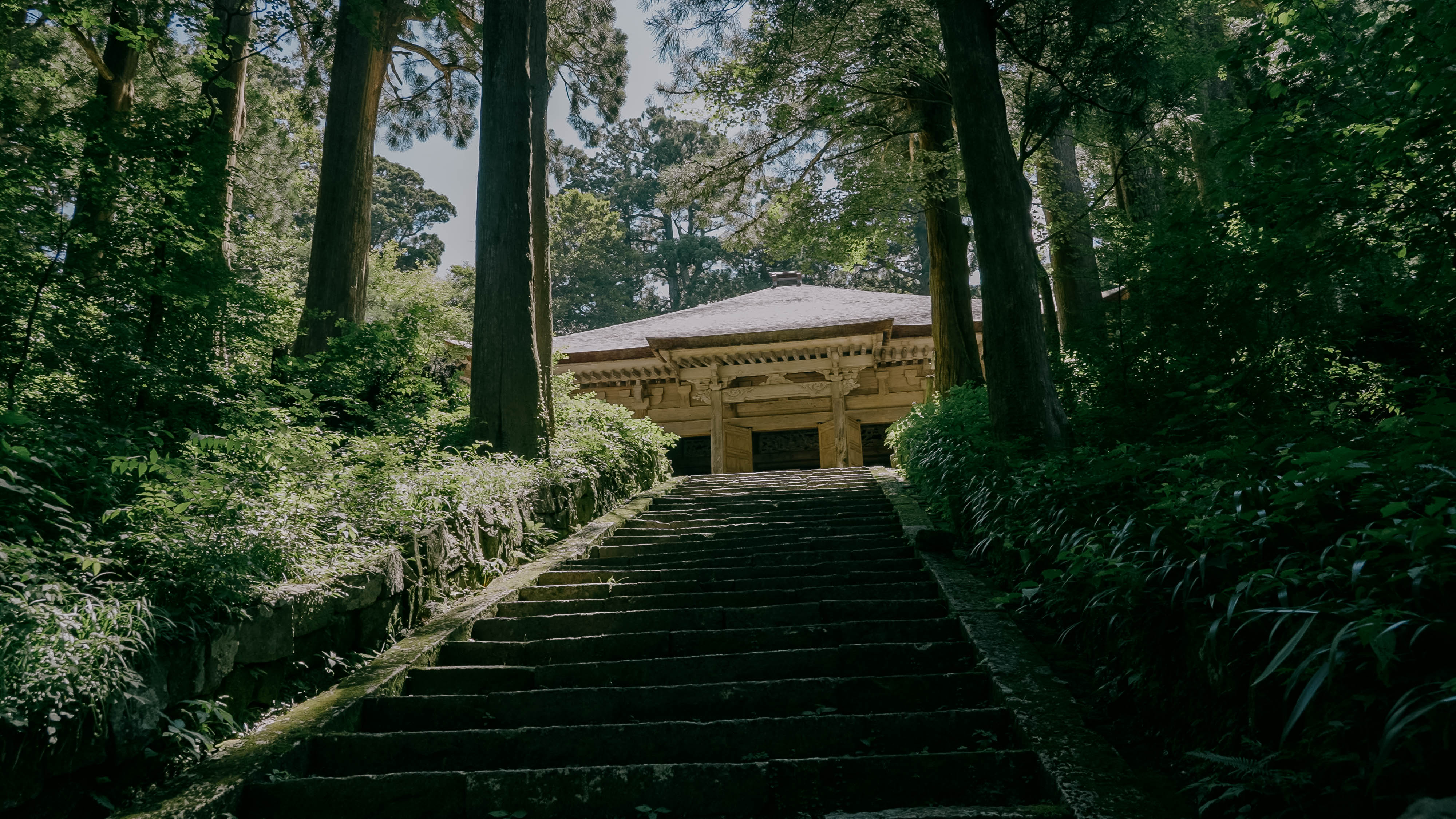大山 阿弥陀堂への道3