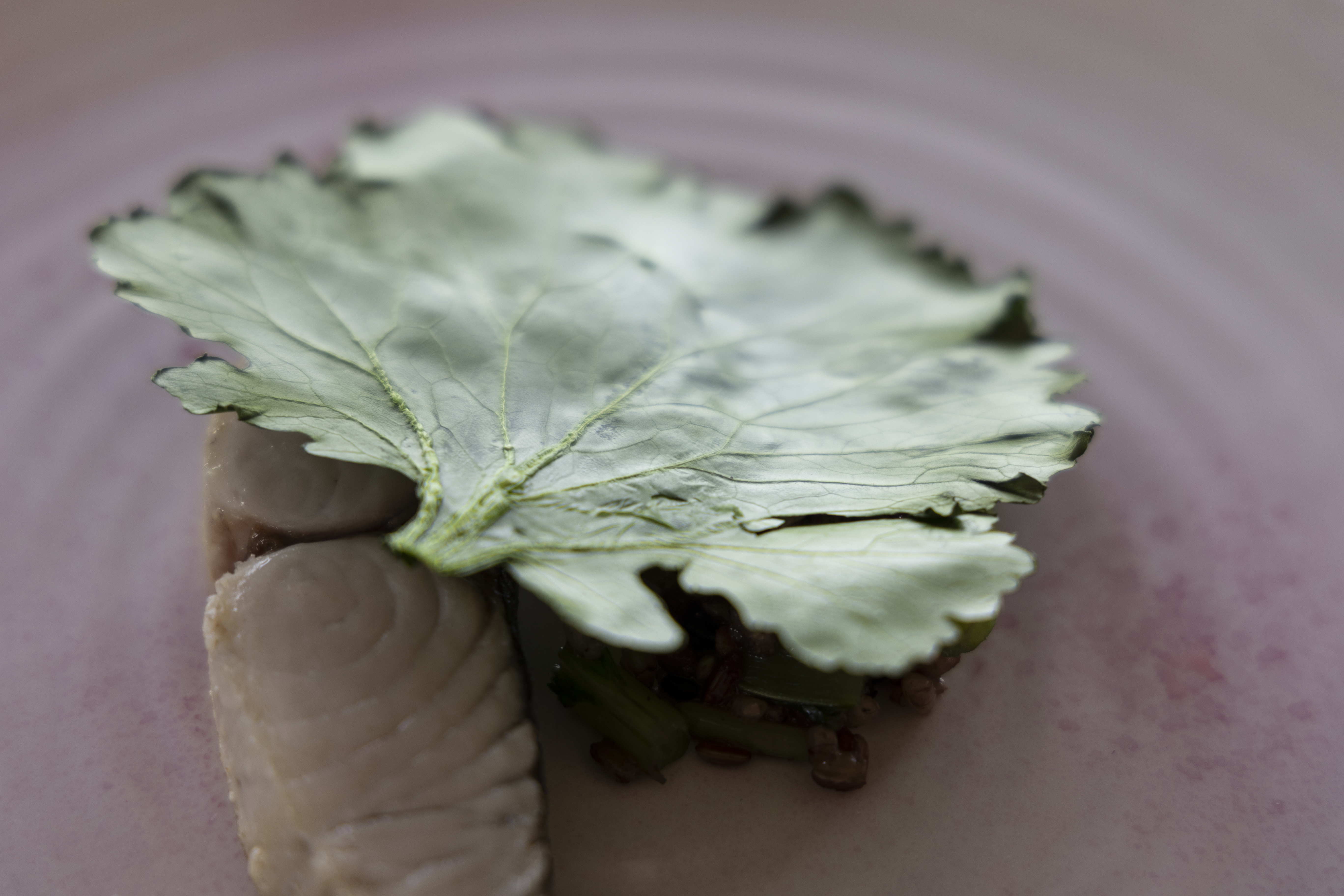 料理5 (1)