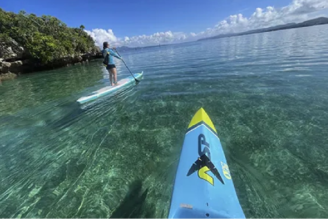 SUP & Marine Activity