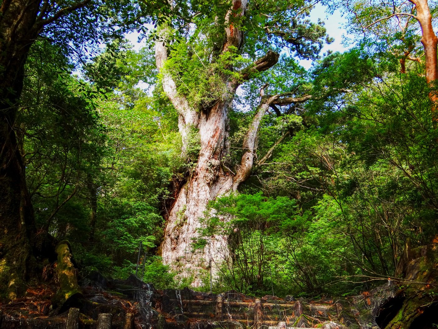 20160813-iStock-1050793036