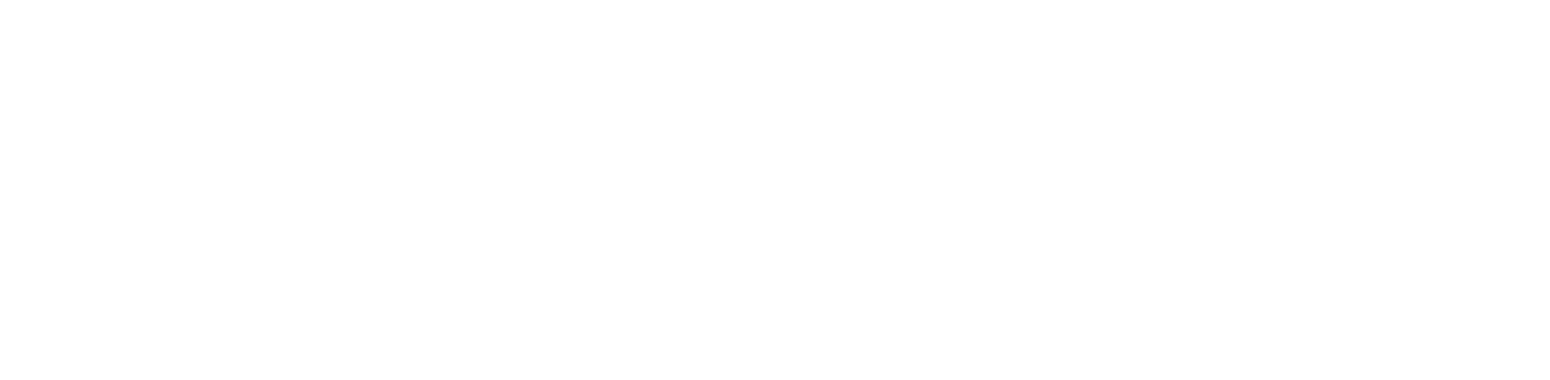 SKYTREK Logo