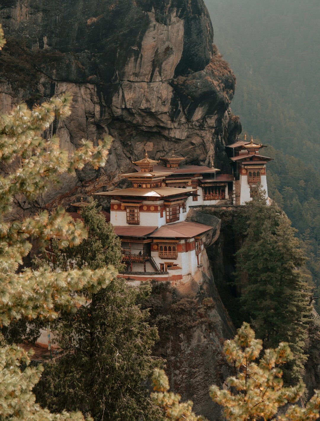 Tiger's Nest View