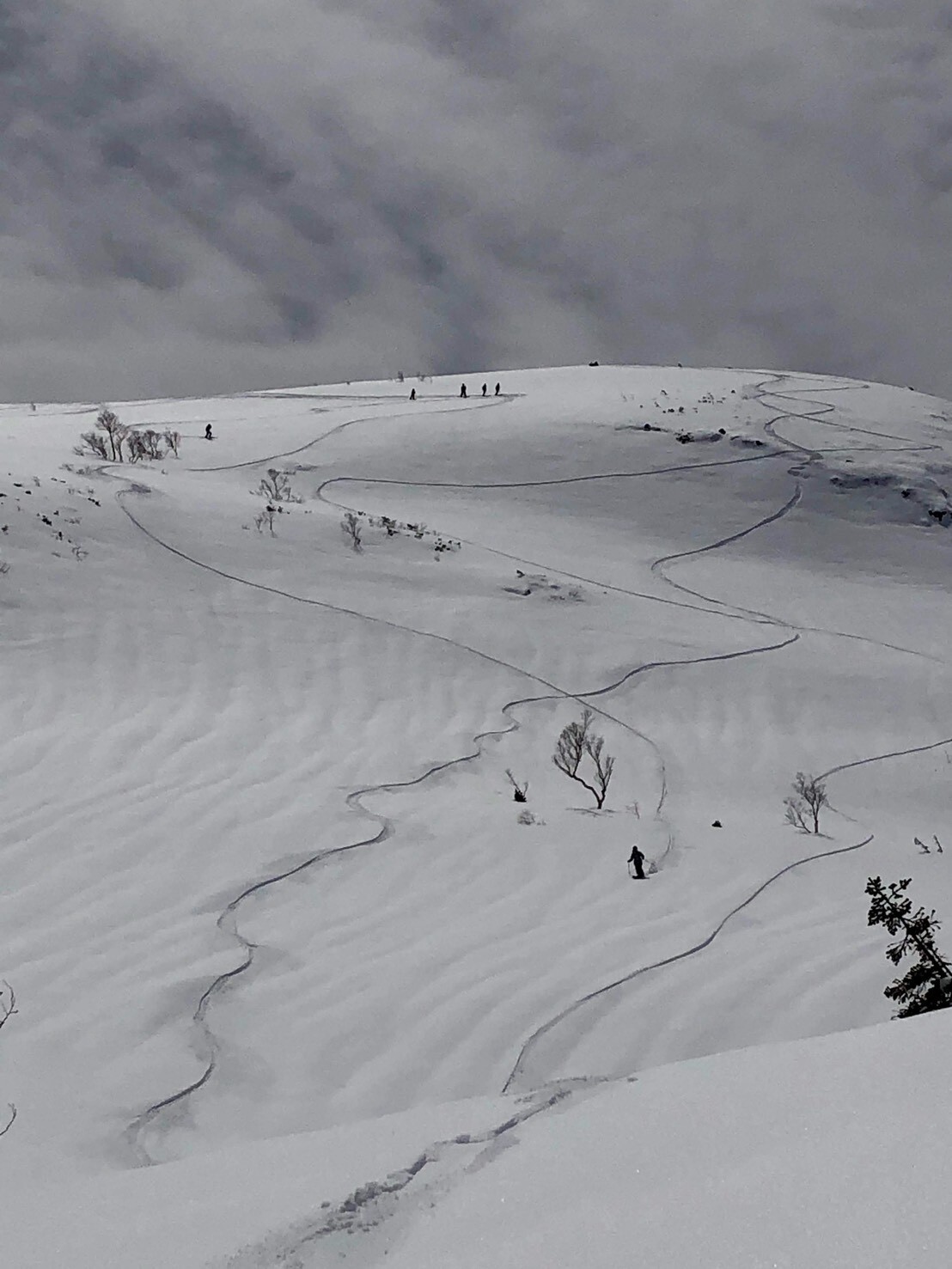 First ski tracks on pristine snowy slope