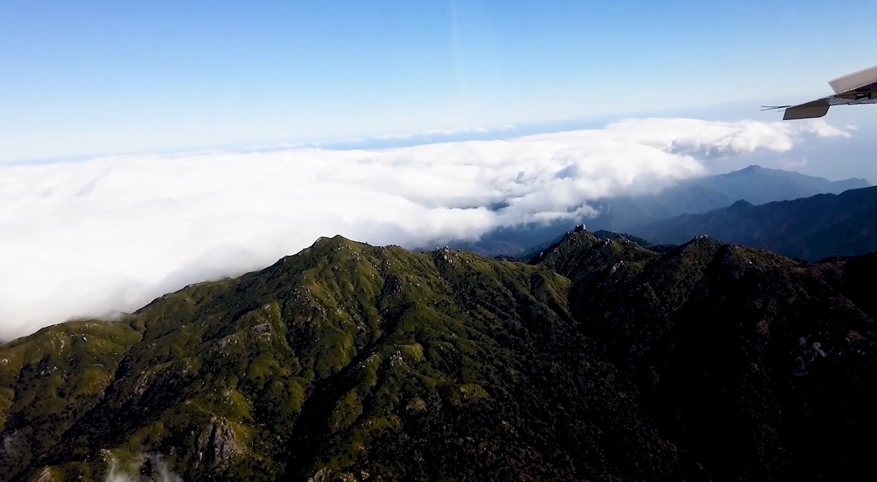 直行不可能な離島サプライズ