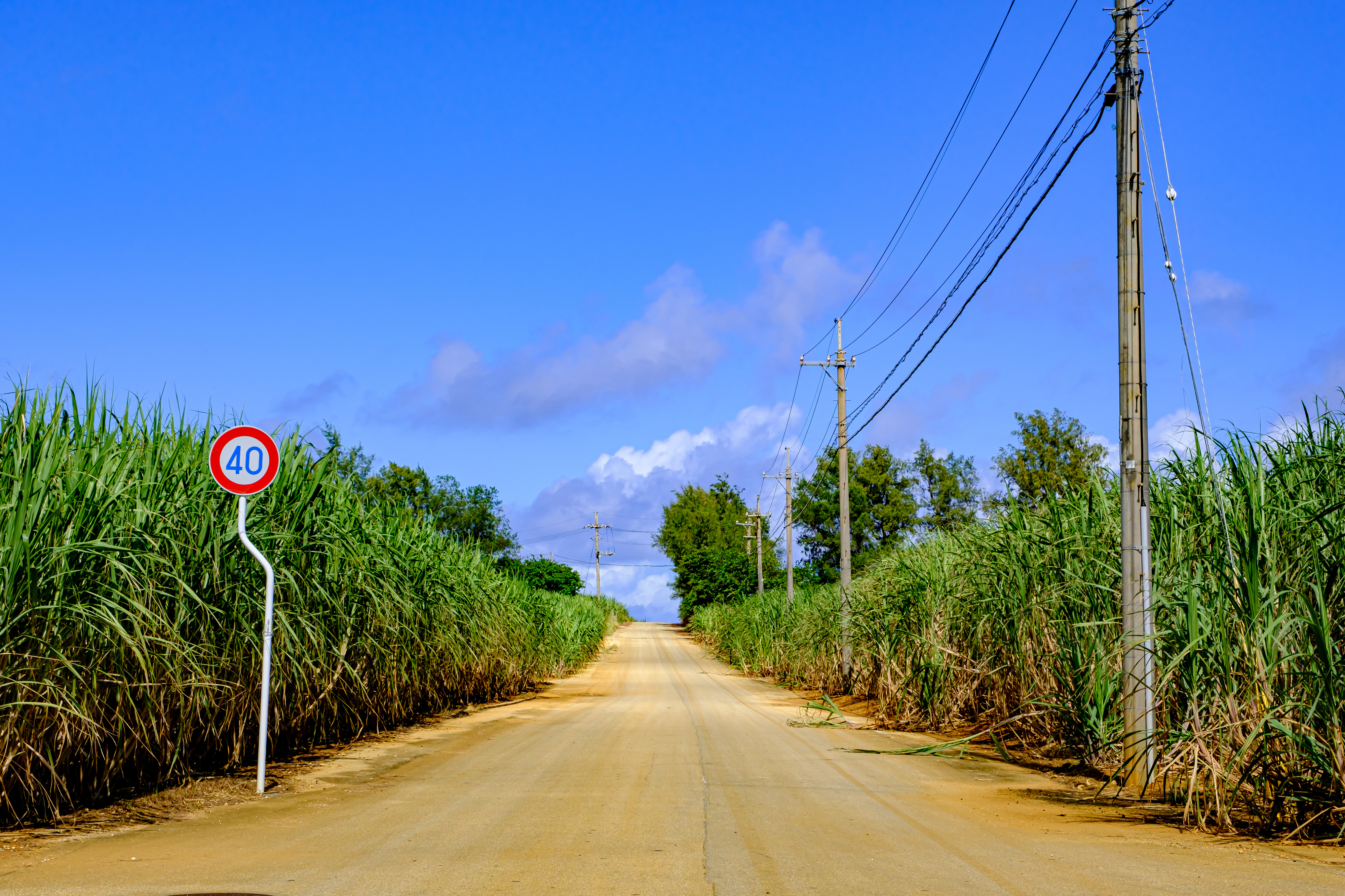 pixta_60017195_L